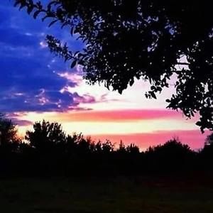 Meet your Posher, Todd